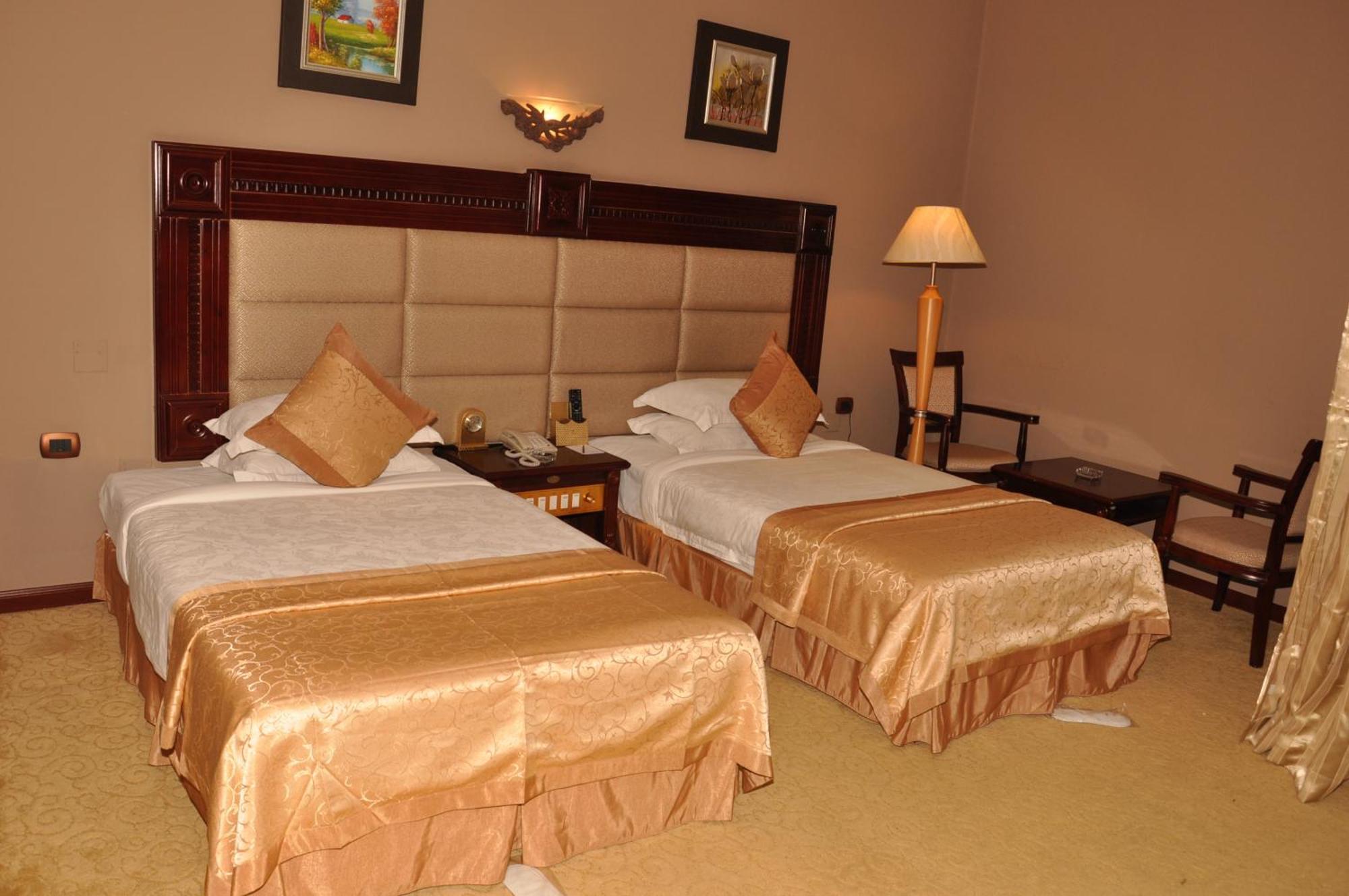 Friendship International Hotel アジス・アベバ 部屋 写真